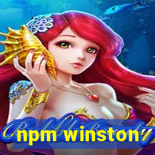 npm winston